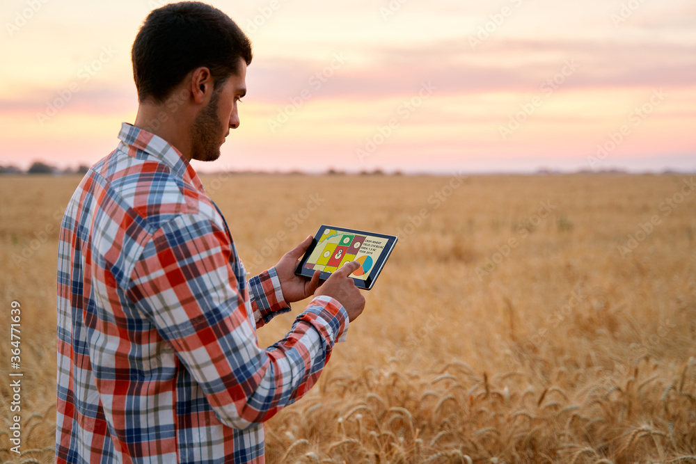 Precision farming. Farmer holds tablet using online data management  software with maps, charts at wheat field. Agronomist working with touch  computer screen to control and analyse agriculture business Photos | Adobe  Stock