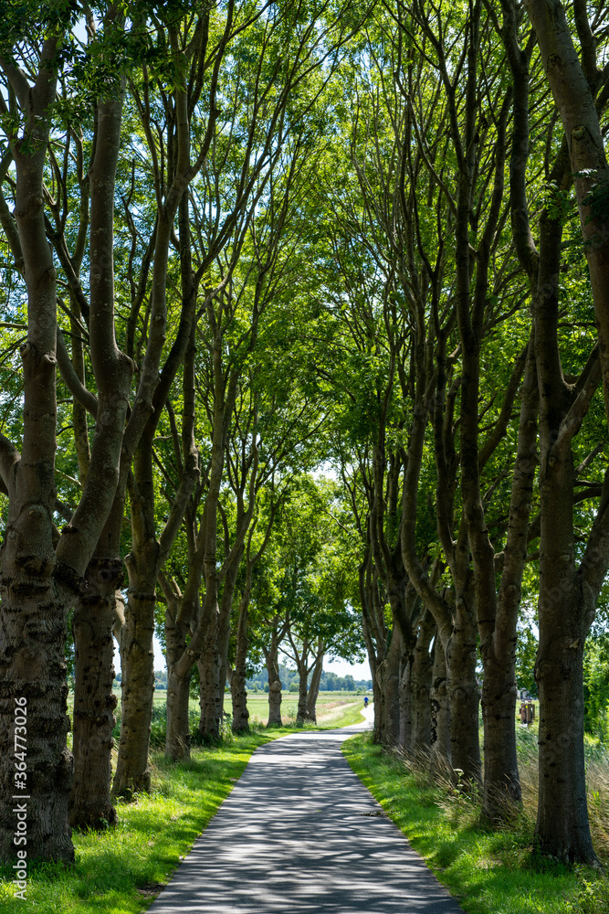 Fototapeta premium Oosthuizen, Netherlands - juli 2020
