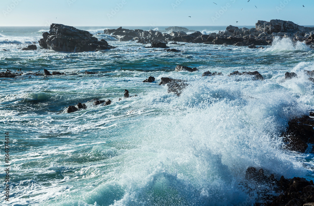 Lambert's Bay, Western Cape province, South Africa, Africa