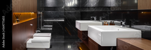 Bathroom in marble and wood  panorama
