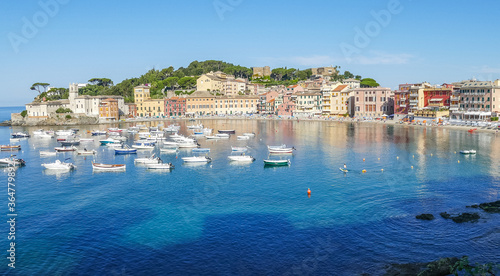 Panoramic aerial view of the Bay of Silence in Sestri Levante with many colored houses