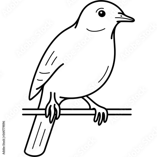 American Pipit
