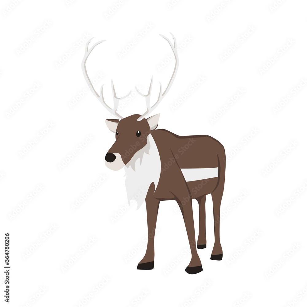 Reindeer Illustration Reindeer Illustration