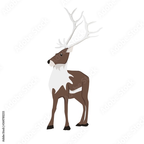 Reindeer Illustration