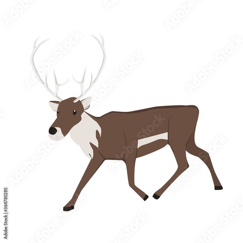 Reindeer Illustration