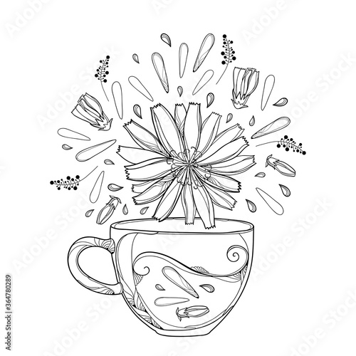 Contour cup of Chicory herbal tea with petals, flower and bud in black isolated on white background. 