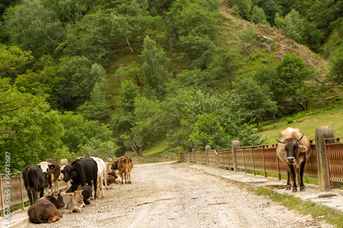 
Landscape in Romania