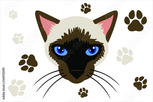 Siamese cat face seamless pattern background illustration