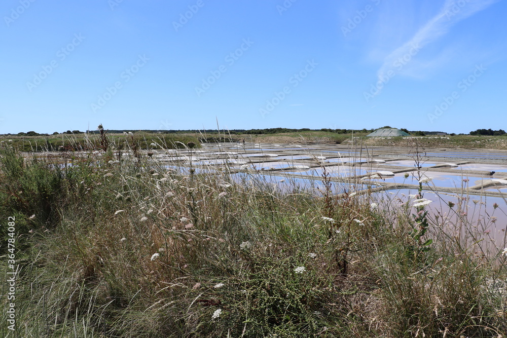 Fototapeta premium Marais salants de Guérande