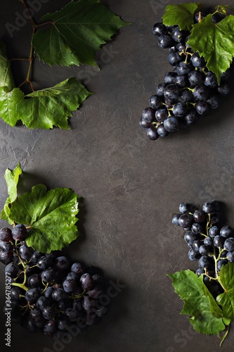 Bunch of Dark Blue Grapes with leaves. Dark background  creative flat layot
