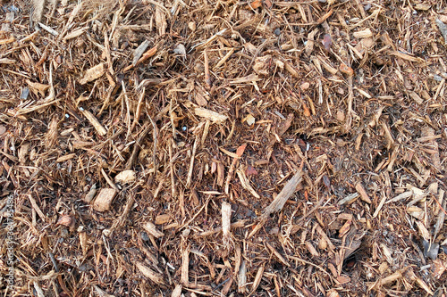 a detailed wide angle view looking down at some shredded wood chip dry mulch ground covering perfect for garden and gardening background as well as nature backdrops