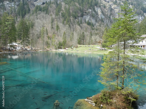Visite du Lac Bleu, très jolie lac de montagne à Blausee dans le canton de Berne (Suisse)
