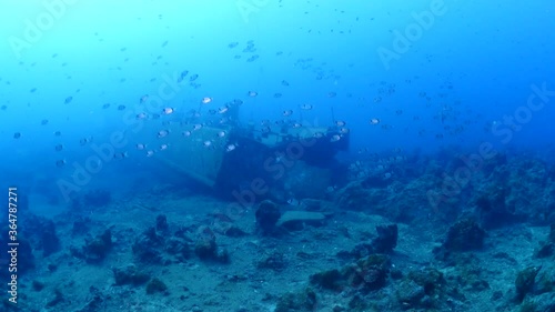 Wallpaper Mural ship wreck scenery underwater shipwreck metal on the ocean floor with fish school around Torontodigital.ca