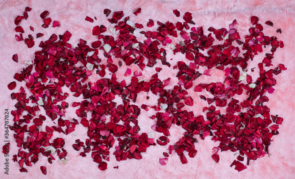 red rose petals on pink fur red rose petals on pink fur