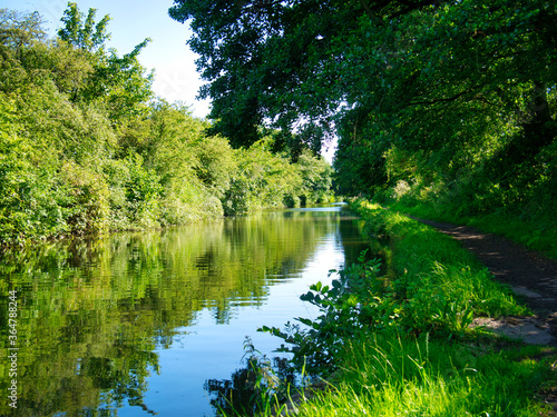 Halsall Cutting on the Leeds to Liverpool canal in Lancashire, UK - a quiet, tranquil section of the canal. Taken on a calm sunny day in summer.