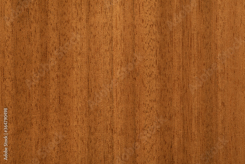 texture of an expensive tree