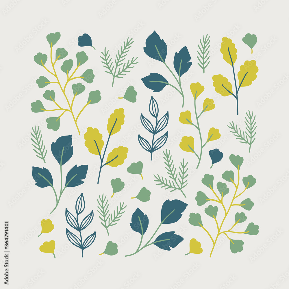 Obraz Floral greeting card with fir branches and different leaves