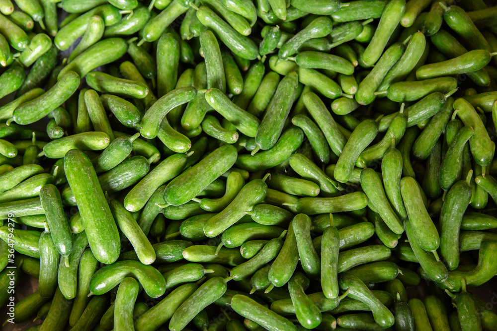 Cucumber, Vegetable Garden, Food, Basket, Vegetable Cucumber, Vegetable Garden, Food, Basket, Vegetable