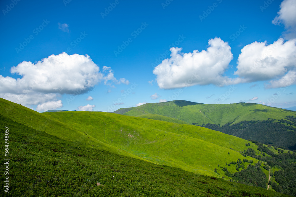 Hills in Carpathian mountains. Beautiful dramatic white clouds over green mountains. Carpathians in summer day. 