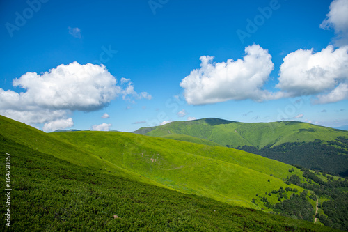 Fototapeta Naklejka Na Ścianę i Meble -  Hills in Carpathian mountains. Beautiful dramatic white clouds over green mountains. Carpathians in summer day. 