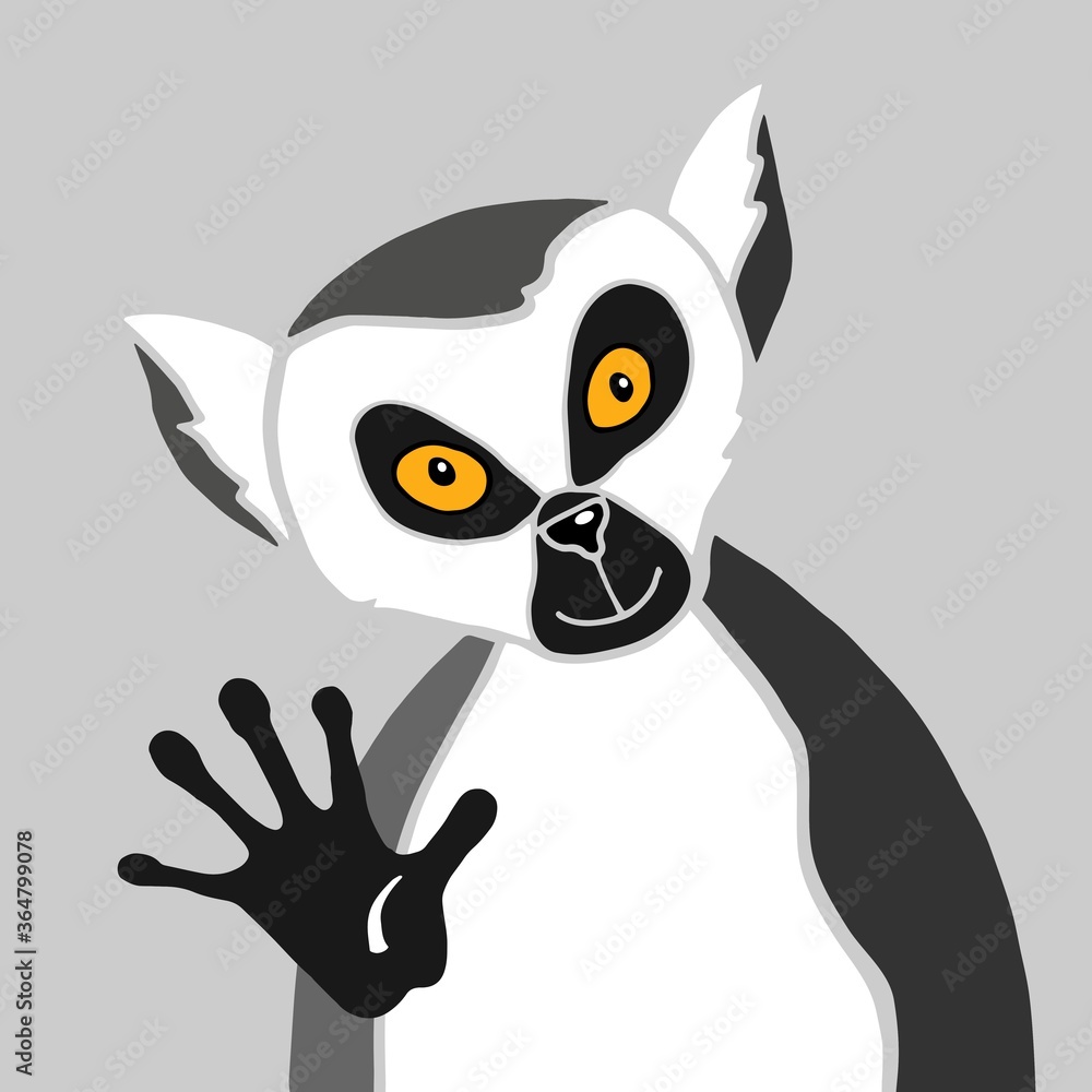Fototapeta premium Cartoon black and white funny lemur yellow eyes looks right at you and waves his paw. Animal unusual interesting character greets the audience. Concept design isolated on gray background. 