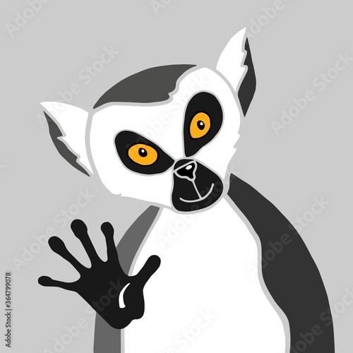Fototapeta Naklejka Na Ścianę i Meble -  Cartoon black and white funny lemur yellow eyes looks right at you and waves his paw. Animal unusual interesting character greets the audience. Concept design isolated on gray background. 