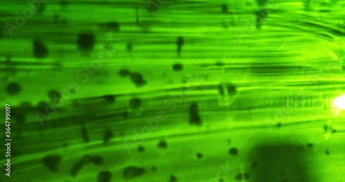 Blurred green texture. Water drops on glass, dim background. Glare of light, sun. Texture, matrix