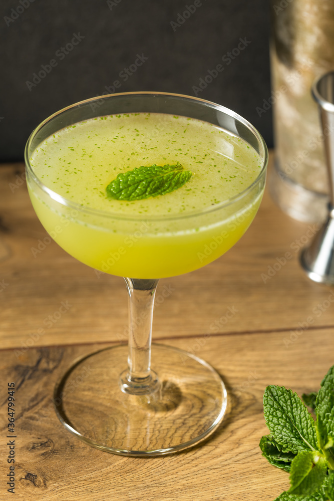 Homemade Refreshing Southside Mint Cocktail Homemade Refreshing Southside Mint Cocktail