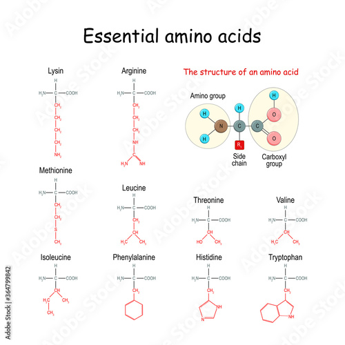 Essential amino acid or indispensable amino acid. chemical structural formula