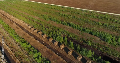 Peat harvesting field in drained bog landscape aerial view