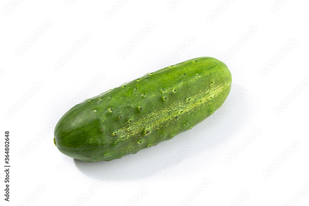 Organic Cucumber isolated on white background. Cucumis sativus Organic Cucumber isolated on white background. Cucumis sativus
