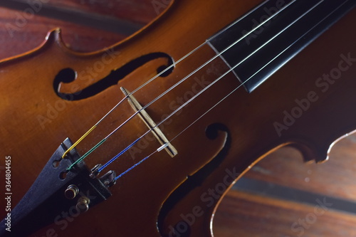 cuerdas del violín