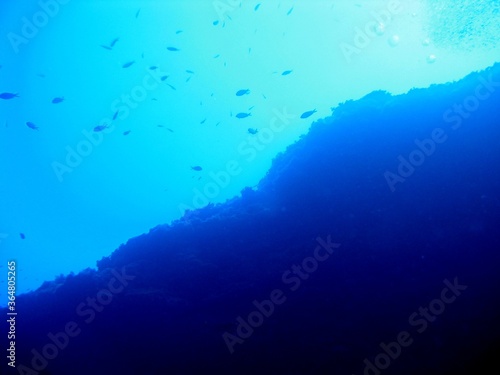 Unterwasserwelt © juppi1310