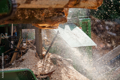 Sawdust from Logging