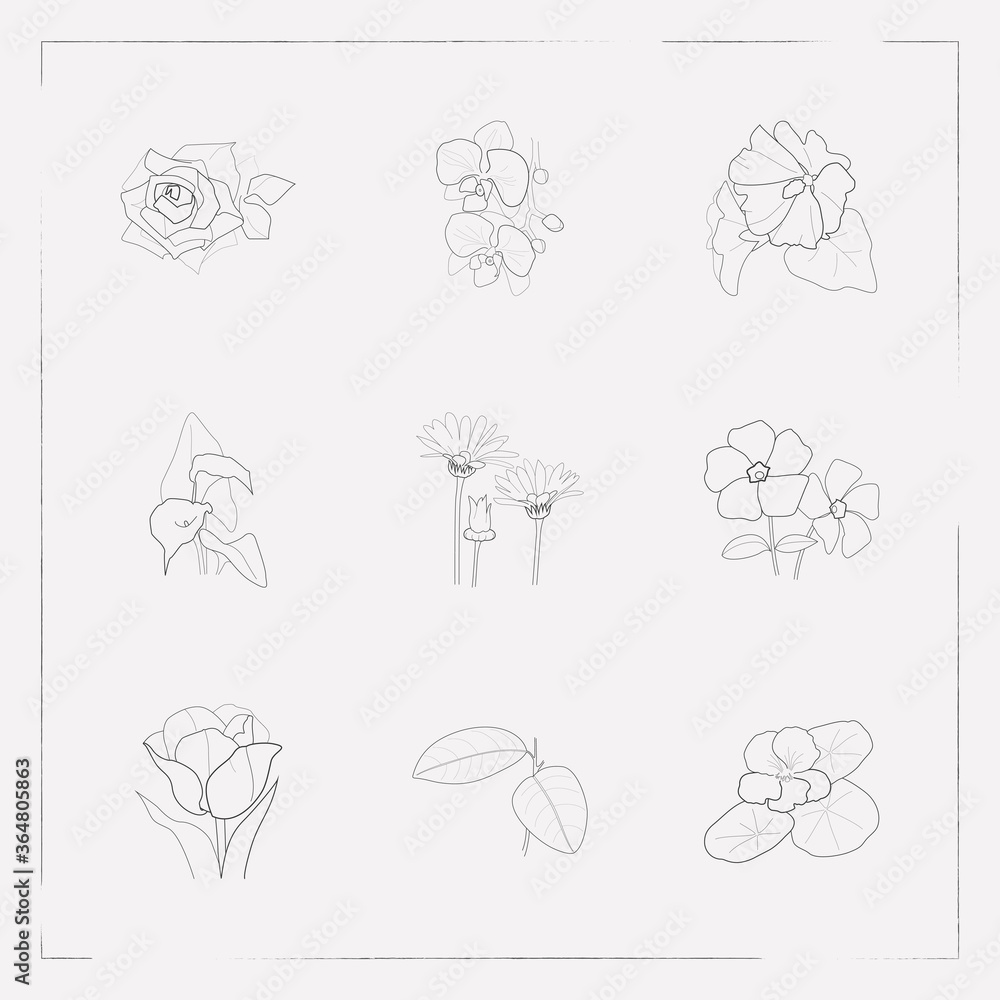 Set of flora icons line style symbols with orchids, natural, calendula ...