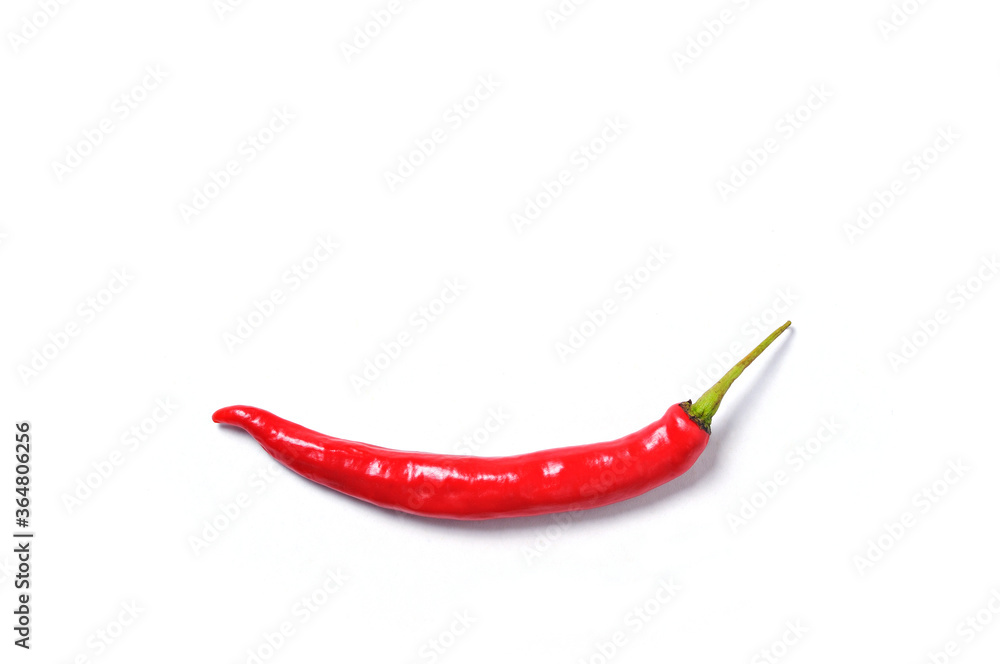 one red chili, close up/ white background with blank space for text one red chili, close up/ white background with blank space for text