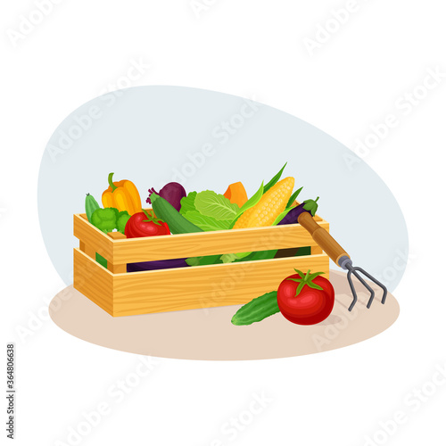 Wooden Crate Full of Vegetables as Crop Harvesting Vector Illustration