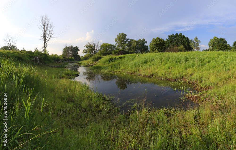 Oxbow lake in the valley of the Vistula river near Warsaw, Mazovia, Poland
