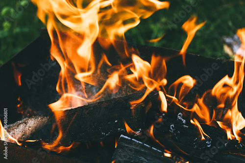 Burning firewood in a homemade barbecue on background of green foliage in garden. Firewood, fire and smoke close-up