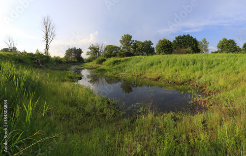 Obraz na płótnie Oxbow lake in the valley of the Vistula river near Warsaw, Mazovia, Poland w salonie