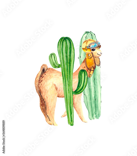 Children's illustration with a cute Alpaca in a flying helmet and green juicy cacti on a white background. Watercolor drawing for books, stories, illustrations, stickers, postcards, fun posters.
