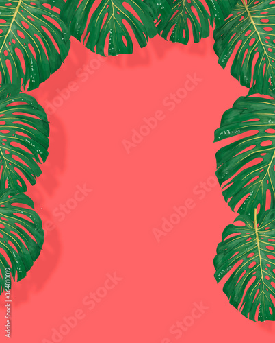 Tropical leaves monstera and philodendron on pink color background minimal summer