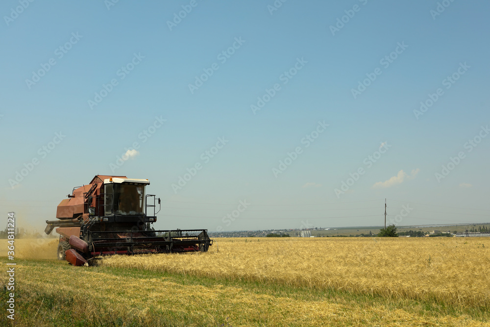 Red combine harvester in barley field. Agriculture and farming Red combine harvester in barley field. Agriculture and farming
