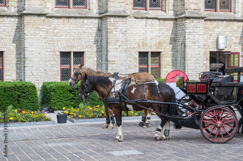 Horse and cart in Ghent, Belgium