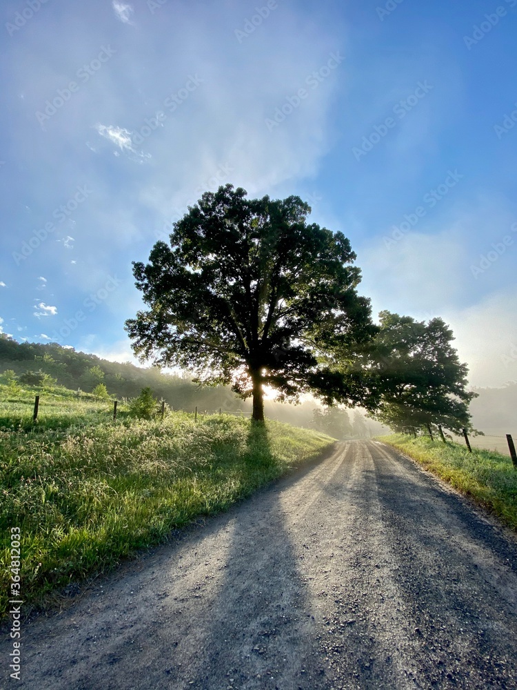 road in the countryside