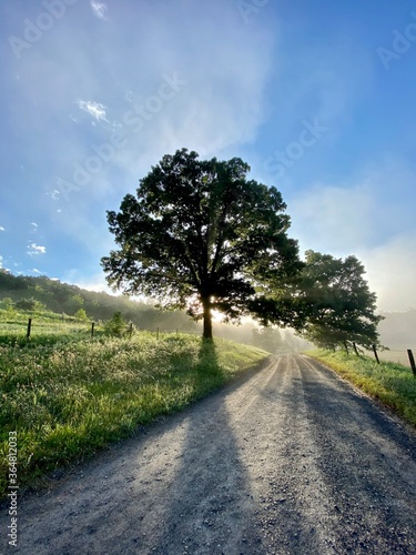 road in the countryside