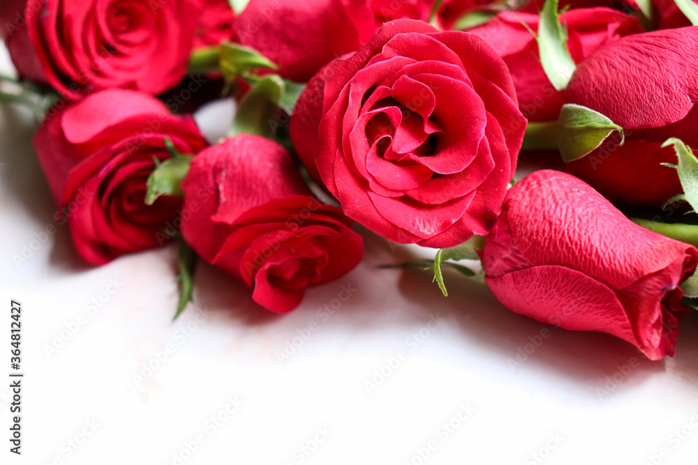 postcard mockup. bouquet of red roses on a white background. congratulation. invitation postcard mockup. bouquet of red roses on a white background. congratulation. invitation