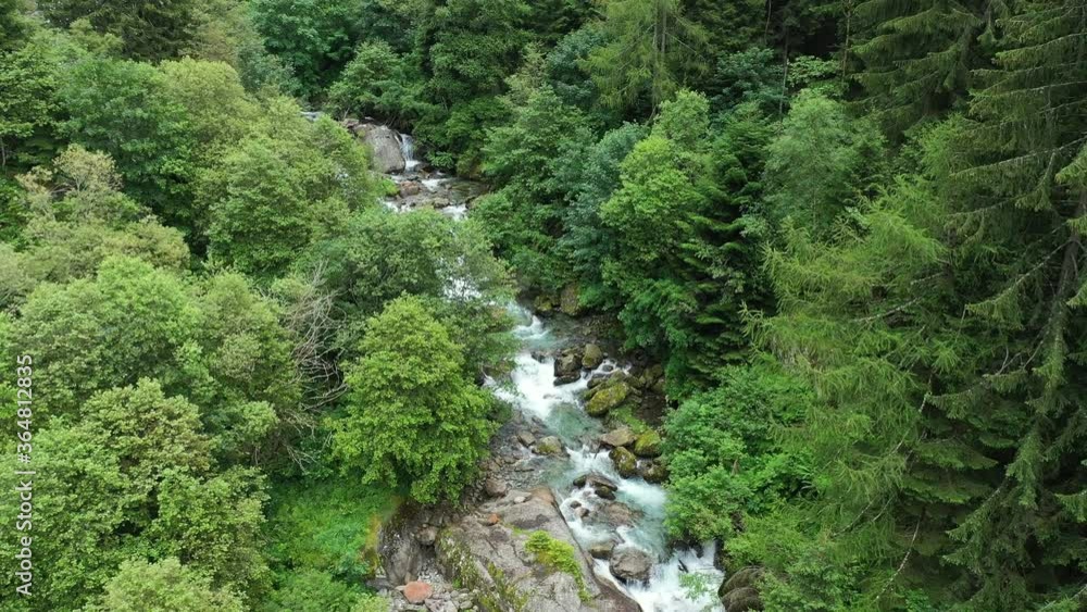 waterfall in the mountains - forest trees river nature waterfall in the mountains - forest trees river nature