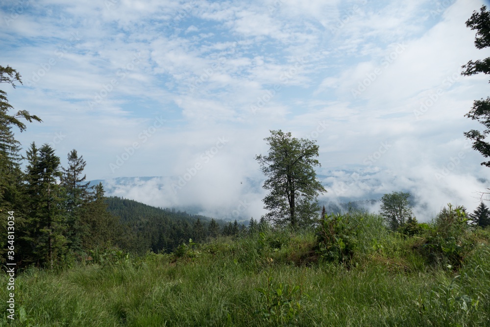 beautiful nature landscape in beskydy in eastern bohemia