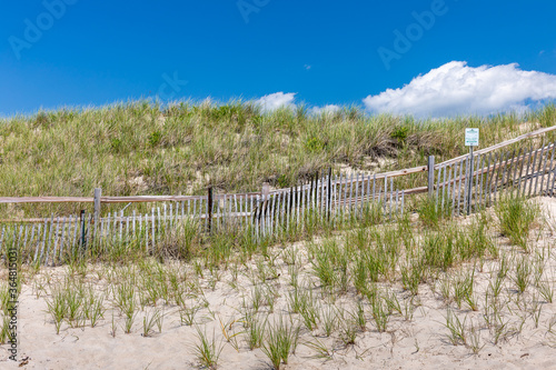 Seashore landscape with dune, beach grass and fence under a deep blue sky on a sunny summer day